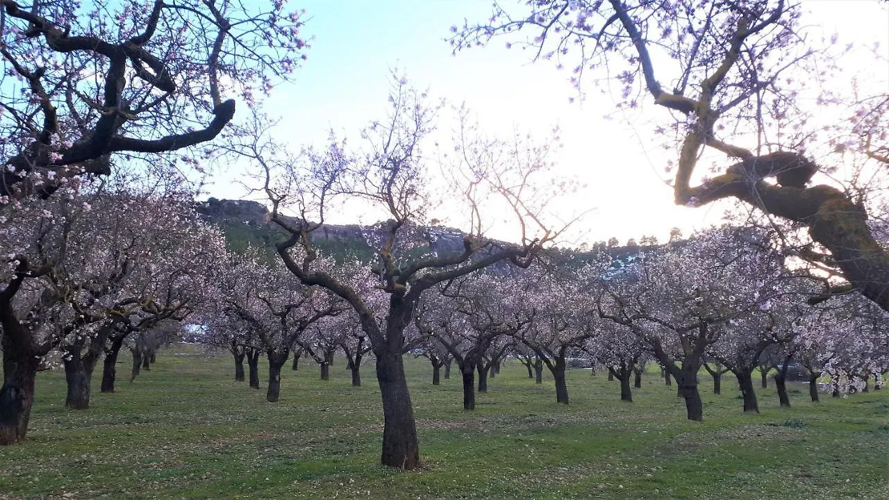 Apartamento El Racó de les Grases Horta de Sant Joan